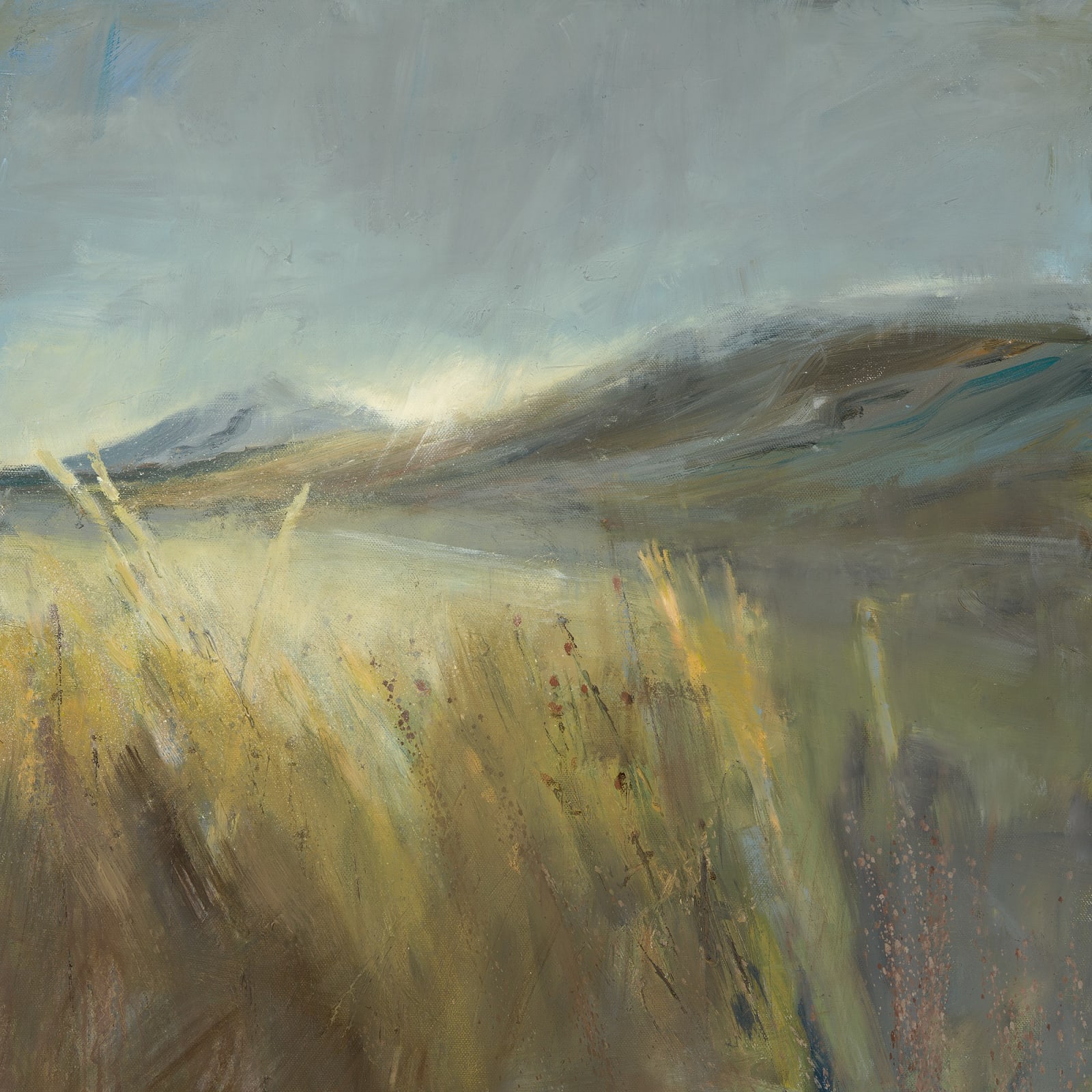 Jane Duff, MOORLAND GRASSES ABOVE LLANUWYLLYN