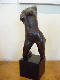 Anna Redwood ROI, ARTEMIS