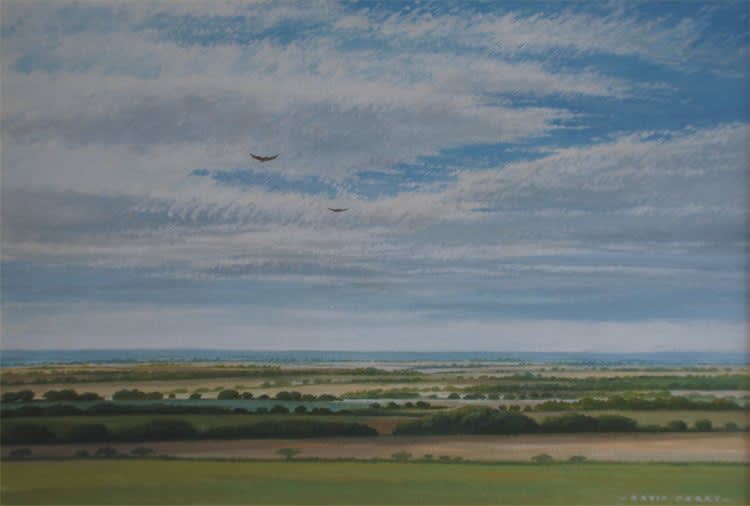 David Parry, BUZZARDS OVER PEWSEY VALE