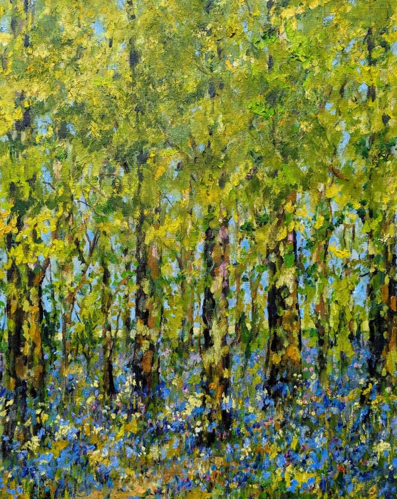 David Walsh, BLUEBELL WOODS
