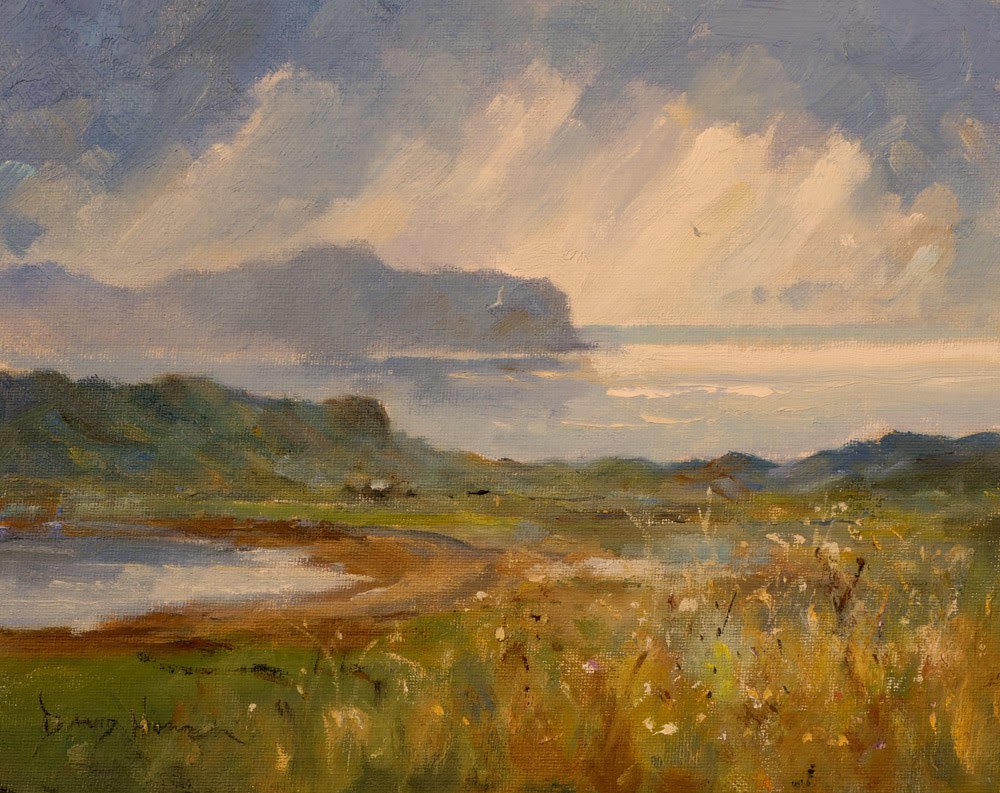 David Howell, ARDMORE POINT, SKYE