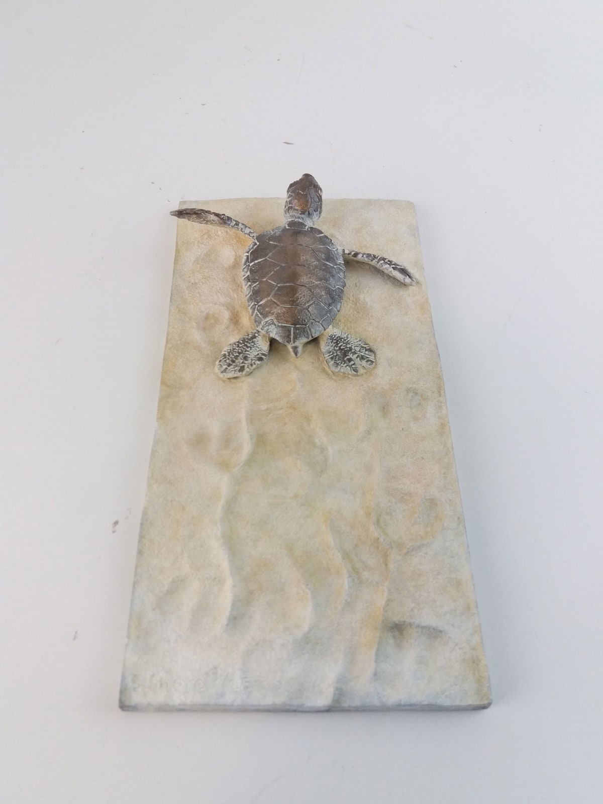 Scott Shore, TURTLE