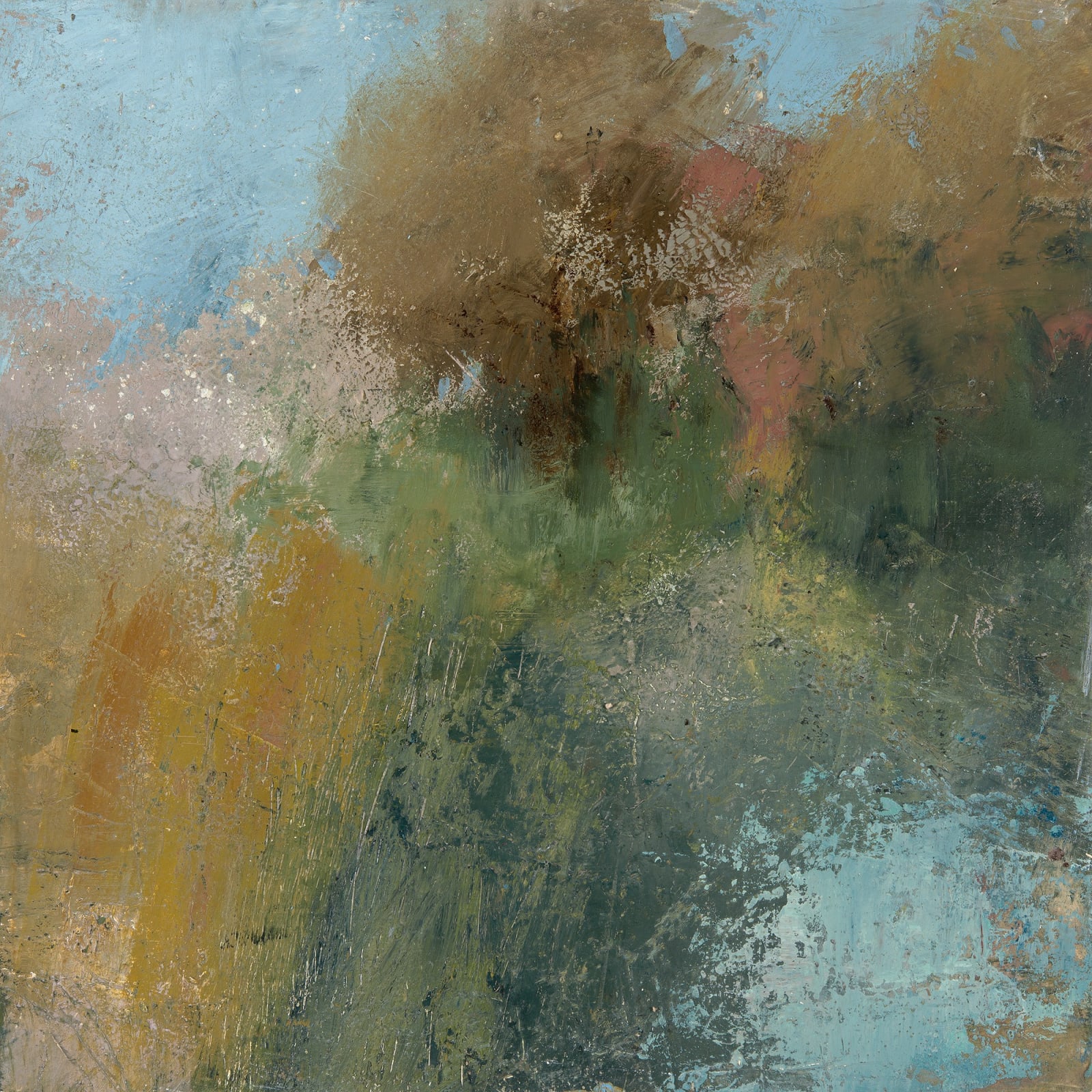 Jane Duff, SYDLINGS COPSE FEN - A JEWEL IN THE CROWN