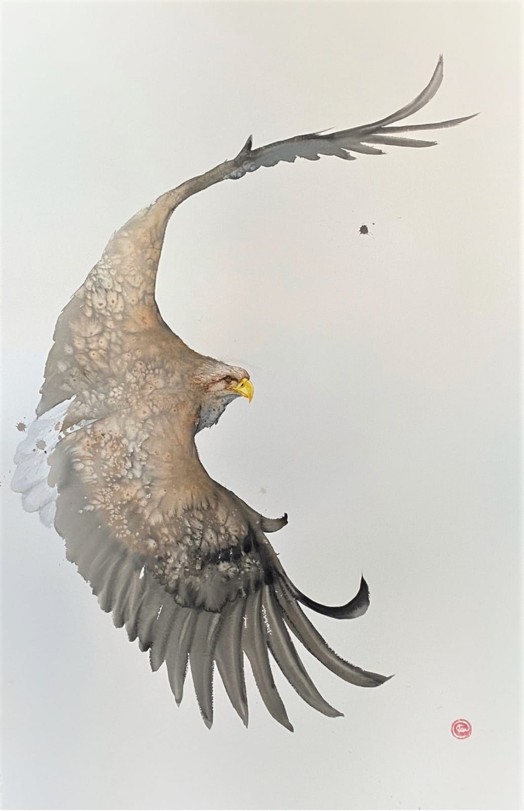 Karl Martens, WHITE TAILED SEA EAGLE
