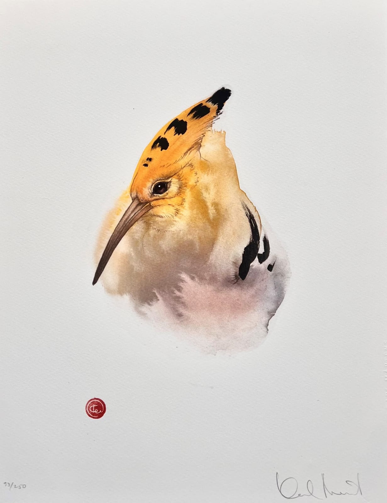 Karl Martens, HOOPOE