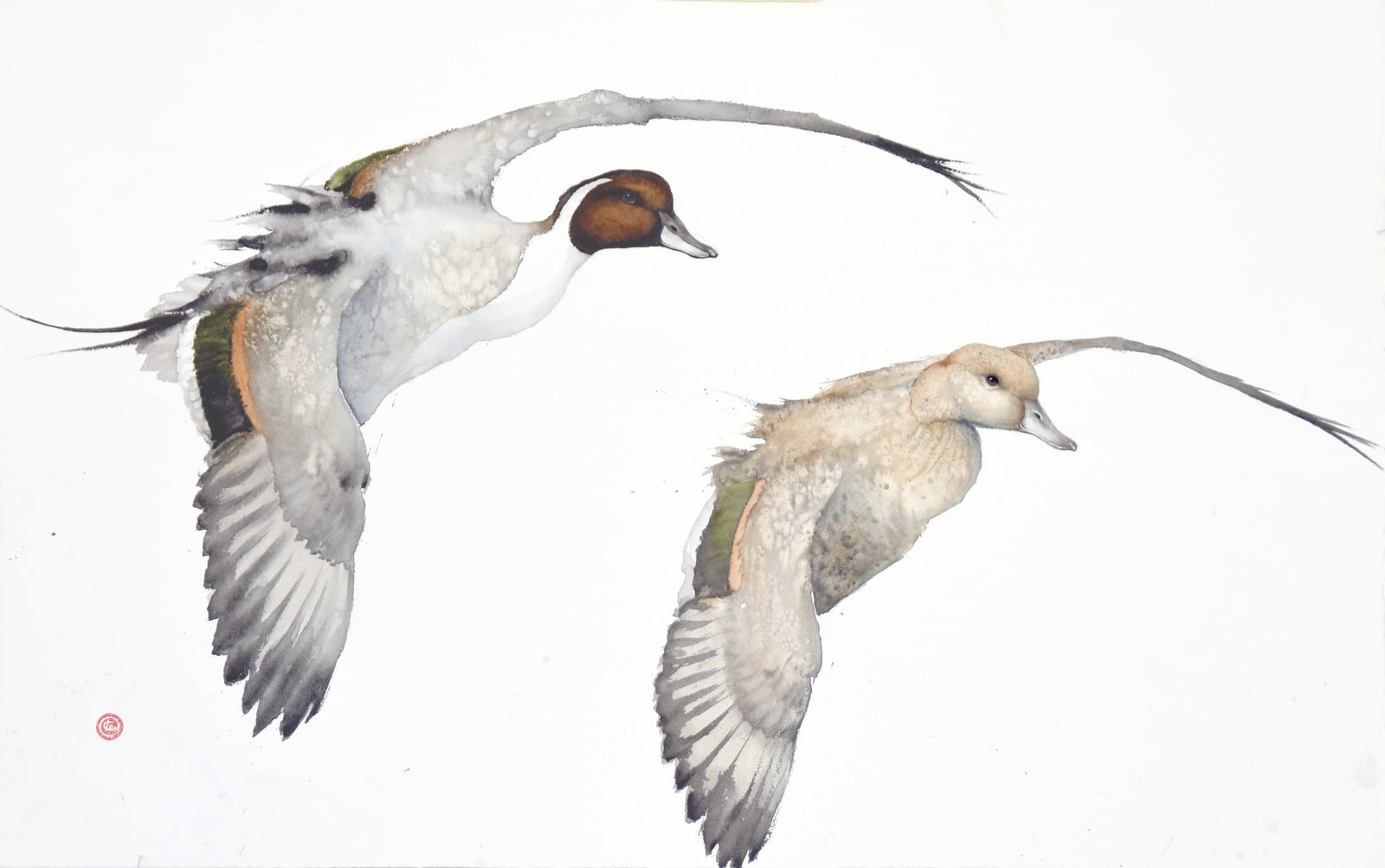 Karl Martens, PINTAILS (Unframed)