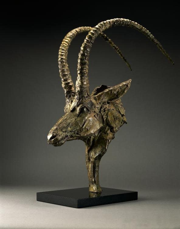 Mark Coreth, SABLE BUST