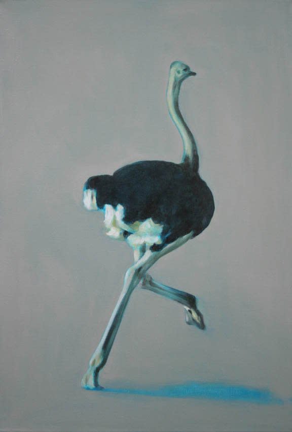 Claire Sandars, OSTRICH RUNNING