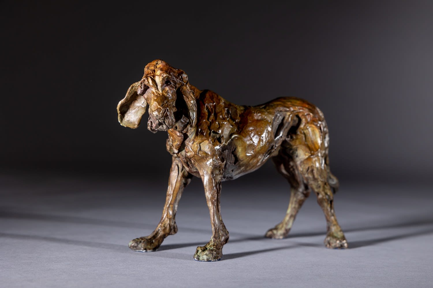 Jane Shaw, PONDERING LIFE (Italian Spinone)