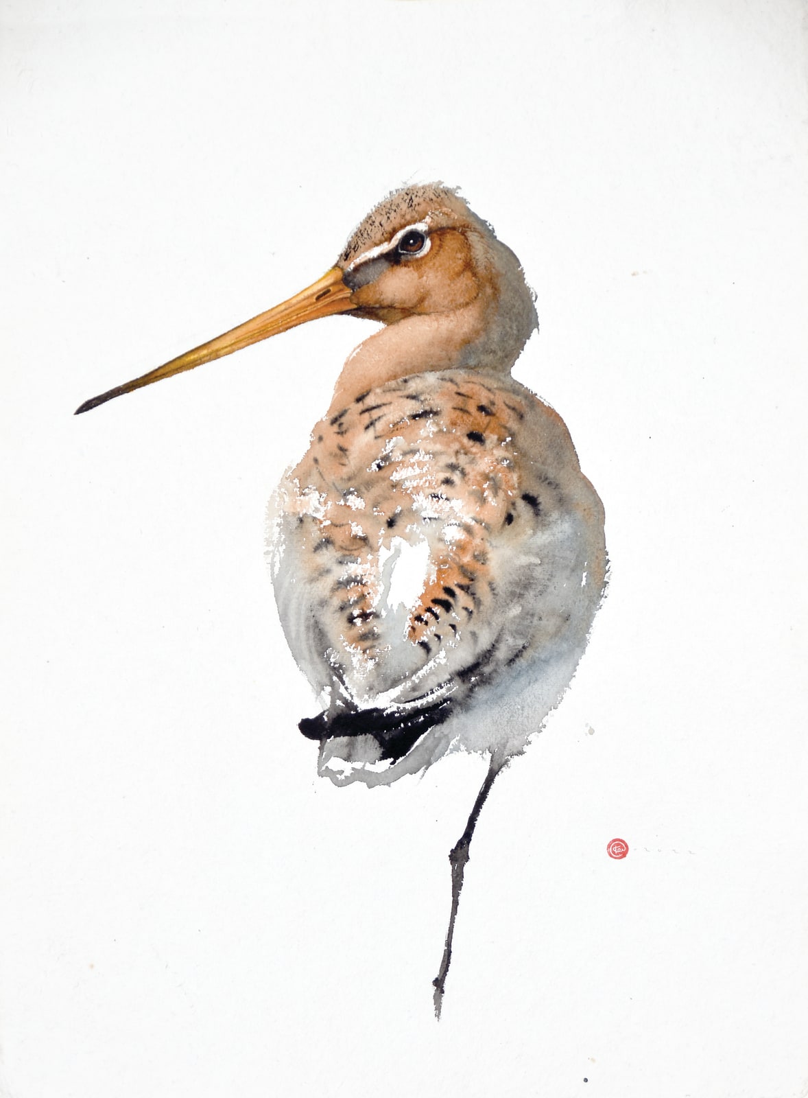 Karl Martens, BLACK-TAILED GODWIT (Unframed), 2022