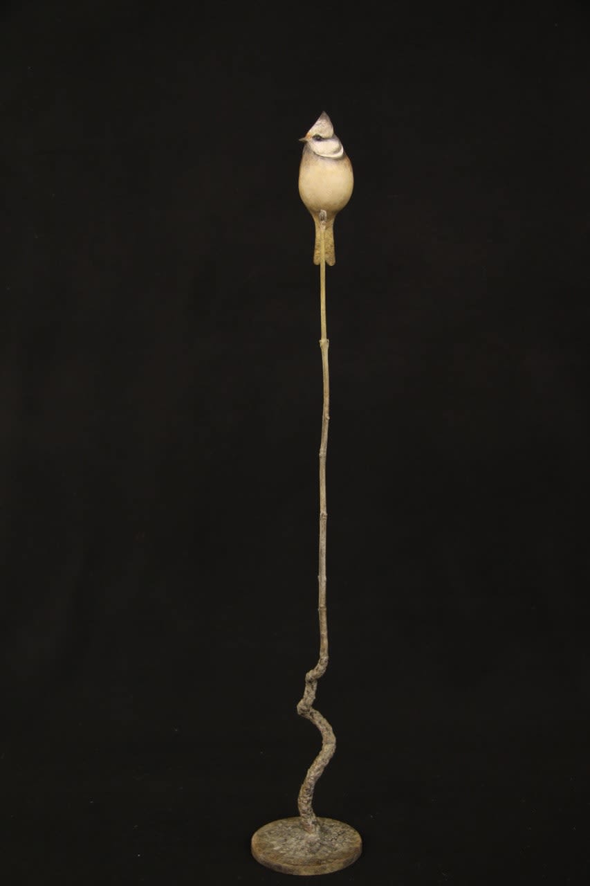 Adam Binder, CRESTED TIT