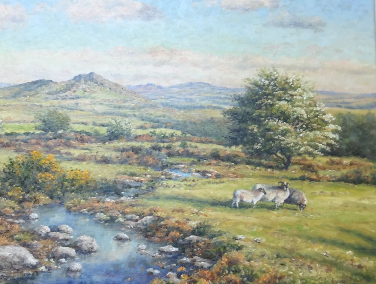 Mervyn Goode, HAWTHORN AND GORSE: THE ROCKY DARTMOOR BROOK