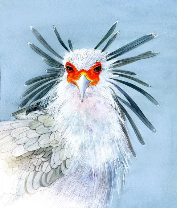 Emma Faull, SECRETARY BIRD