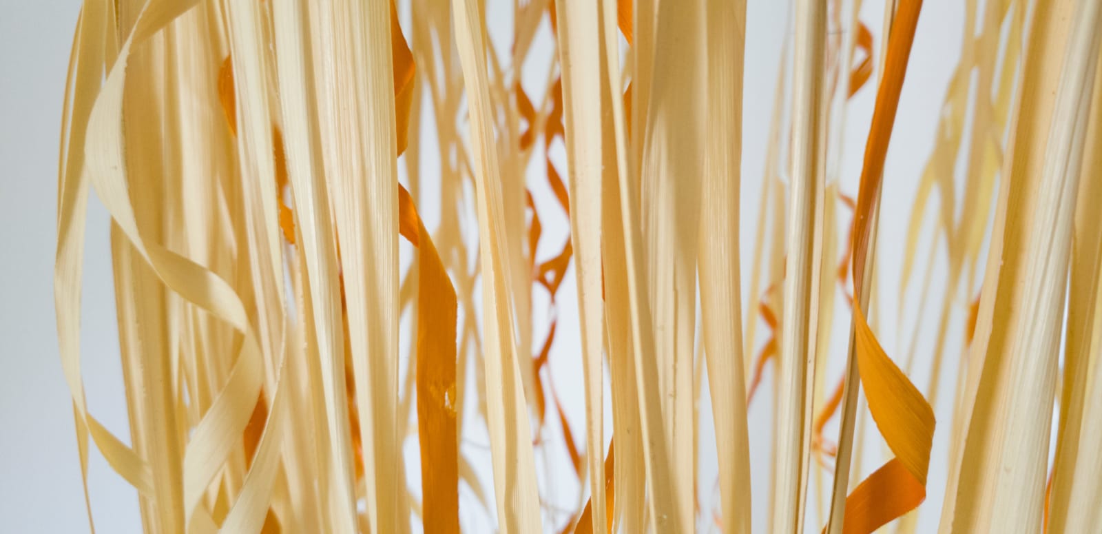 Maria Fernanda Paes de Barros, Saia pendant lamp, 2019