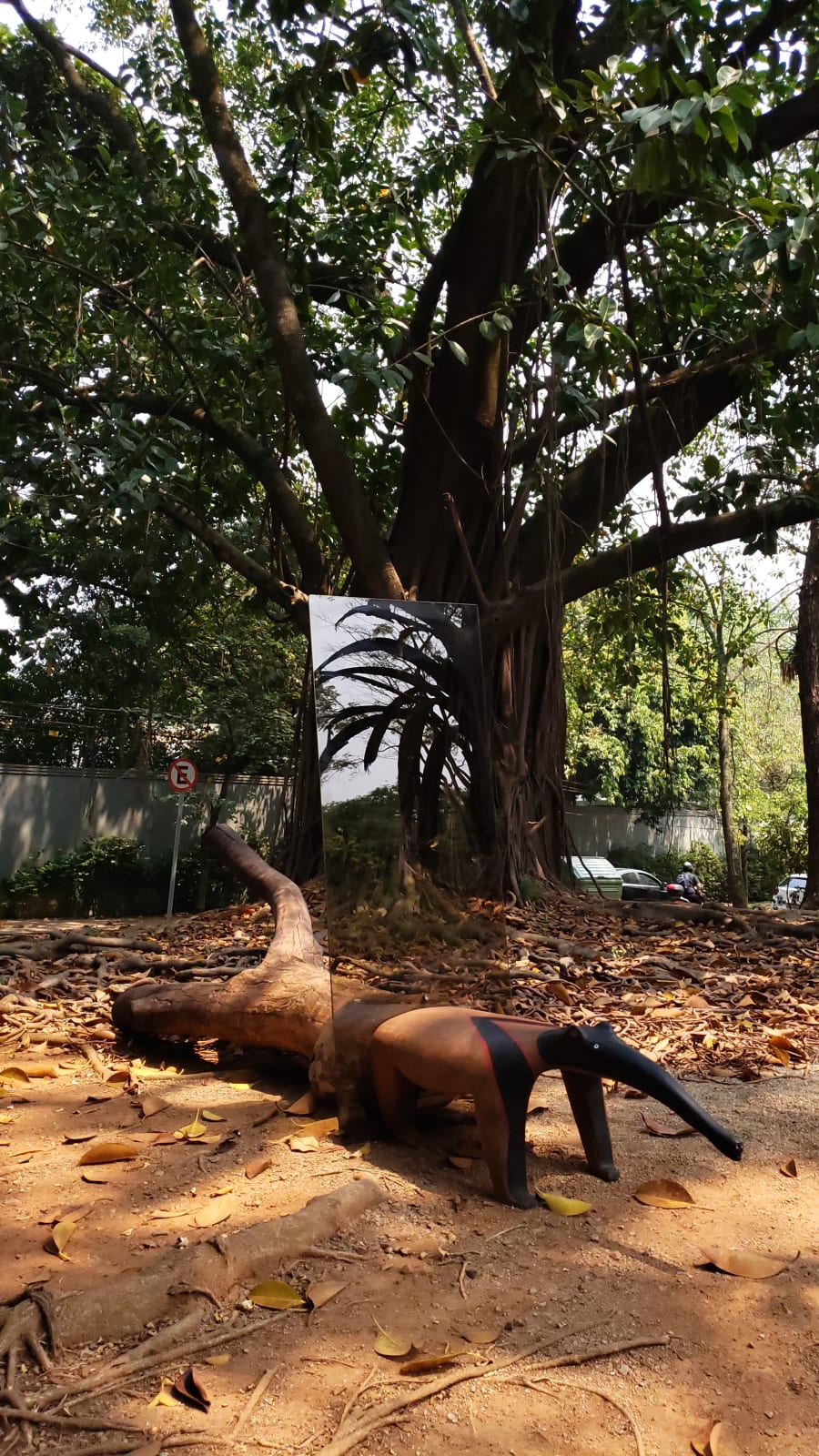 Maria Fernanda Paes de Barros, Where I want to leave my reflection, 2020