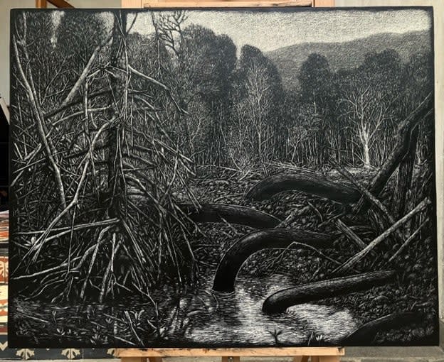 Maryanto, The Shadow behind Roots (Karimun, Jawa Islands), 2025