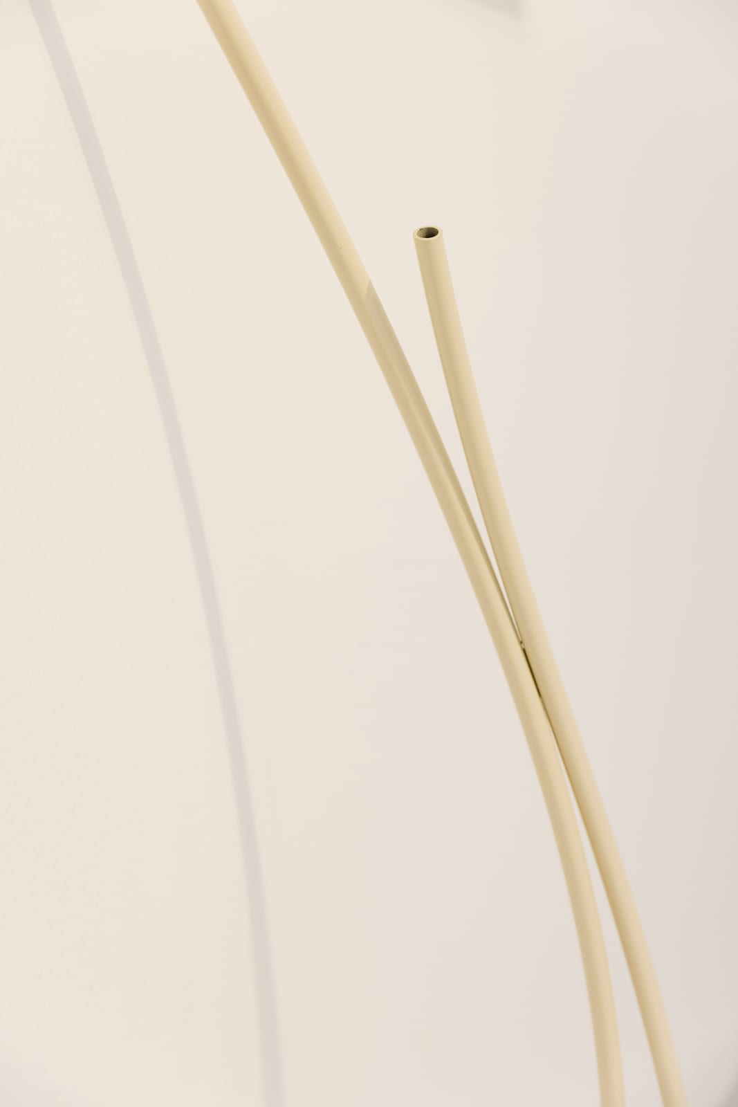 Aki Hassan, Nudge, nudge, 2023