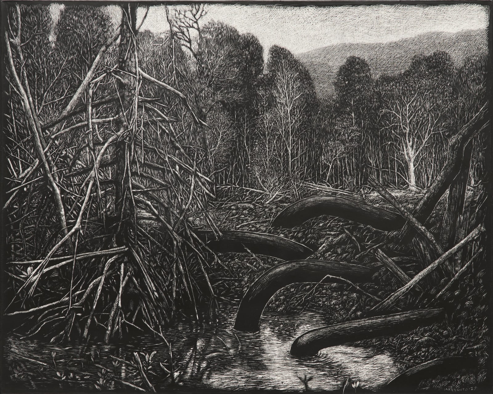 Maryanto, The Shadow behind Roots (Karimun, Jawa Islands), 2025