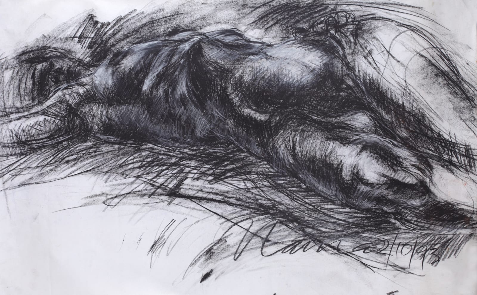 Solamalay Namasivayam, Nama 2 October 1993, 1993