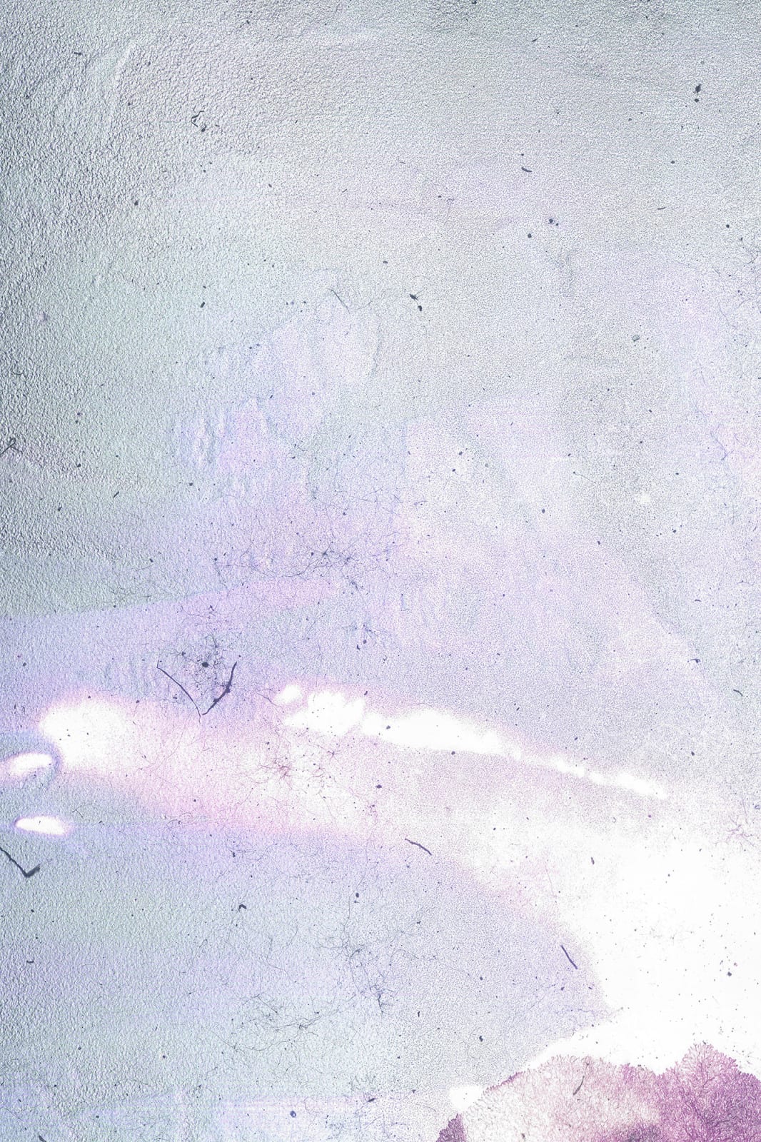 Wei Leng Tay, One full frame 135mm colour reversal film slide. “National Parks Board Of W.A.” and “18 The Shawl” printed on one side, and “KODACHROME DUPLICATE” and ‘“MADE BY Kodak” on the other, of a heat-sealed cardboard slide mount. In a yellow plastic slide box. // 150x magnification. Full coaxial episcopic, and transmitted illumination. Fragmented. // 10 variable sizes on archival pigment print. Photograph seven., 2022