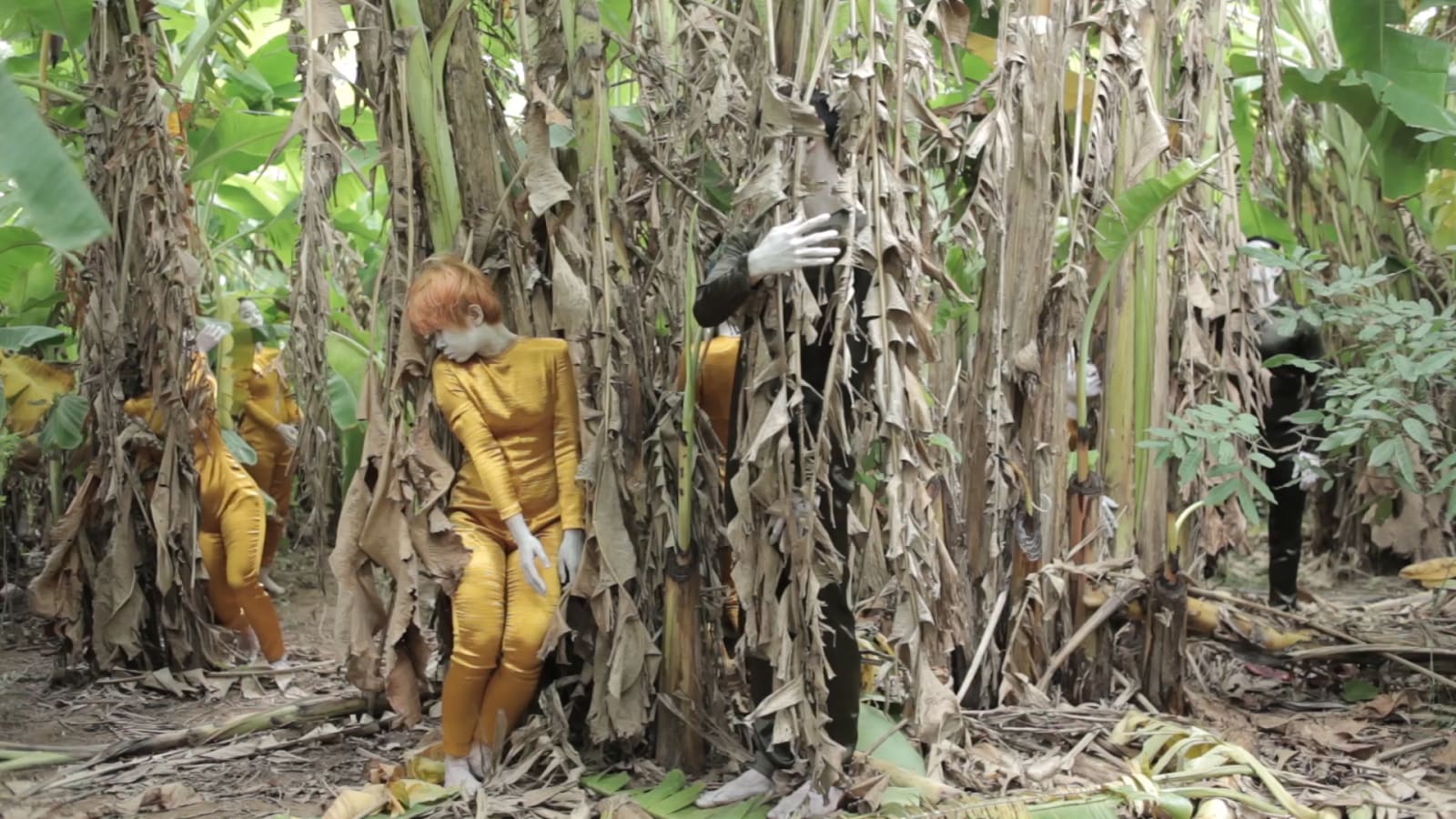 Quynh Dong, Trong rùng chuói/ In the banana forest , 2019