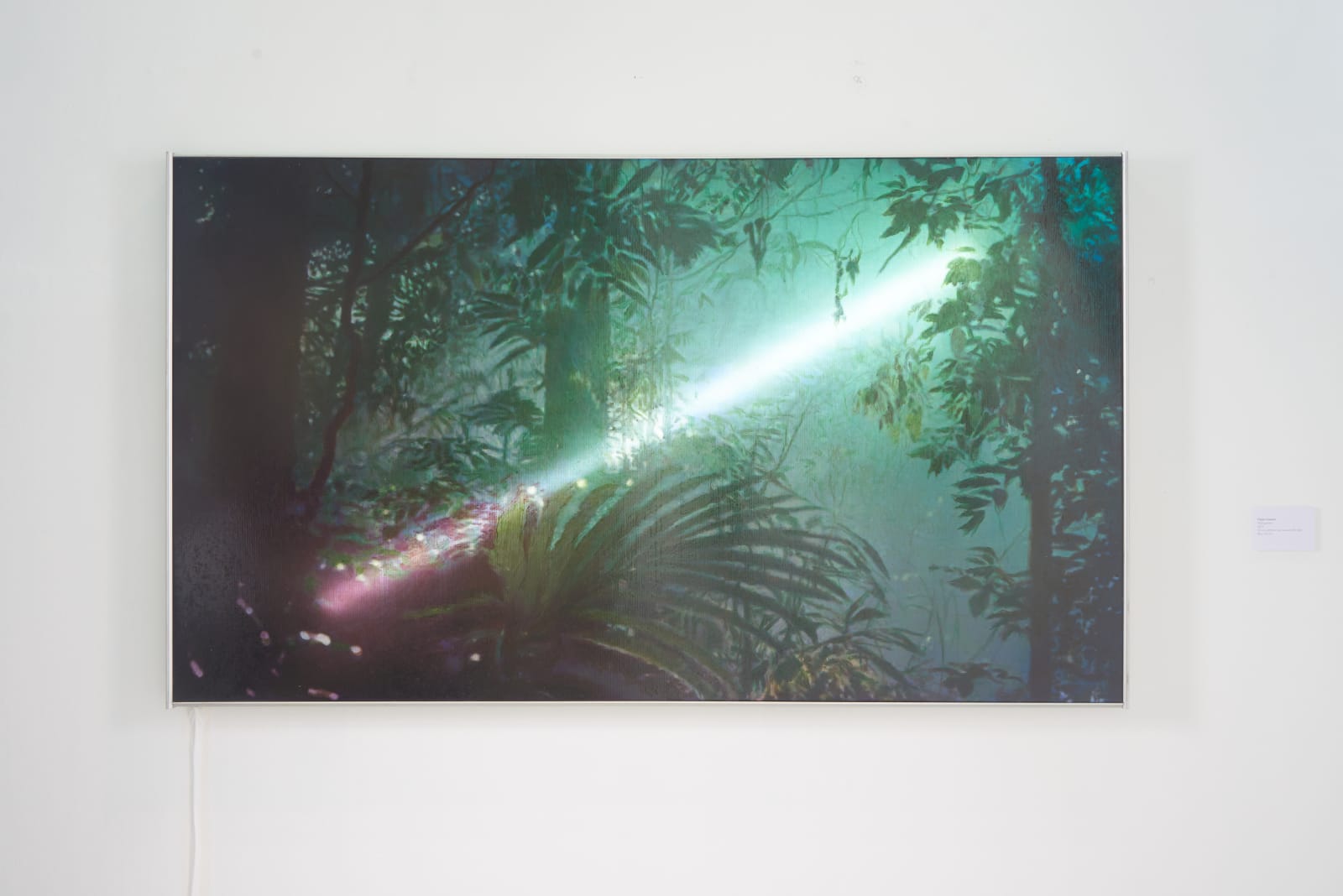 Filippo Sciascia, Phylogenetic, 2019