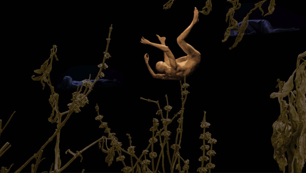 Quynh Dong, biển đen với cá vàng (black sea with goldfish), 2021