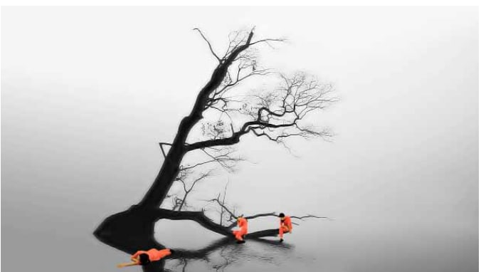 Quynh Dong, Late Autumn, 2015