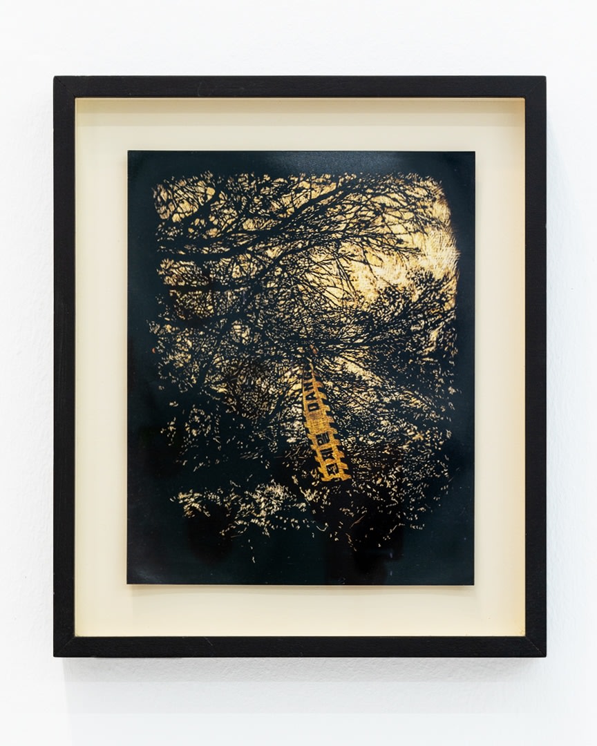 Maryanto, Beautiful Danger, 2018