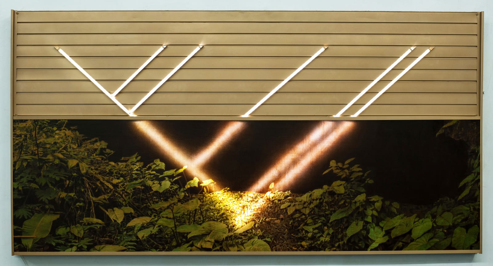 Filippo Sciascia, Phylogenetic of Resources, 2019