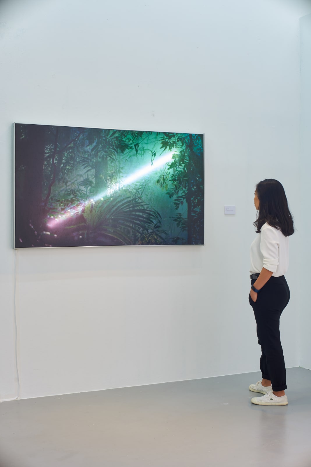 Filippo Sciascia, Phylogenetic, 2019