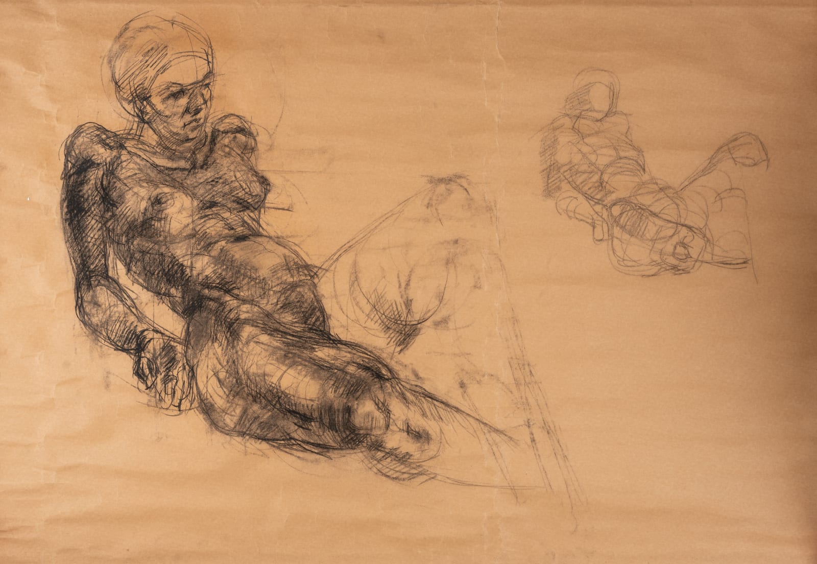 Solamalay Namasivayam, Charcoal study. Seated Nude "3/4" frontal view of chest cavity & abdominal structures, 1993