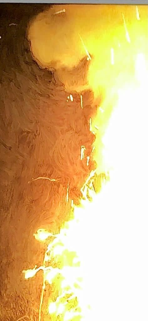 Filippo Sciascia, Primitive Learning, 2021