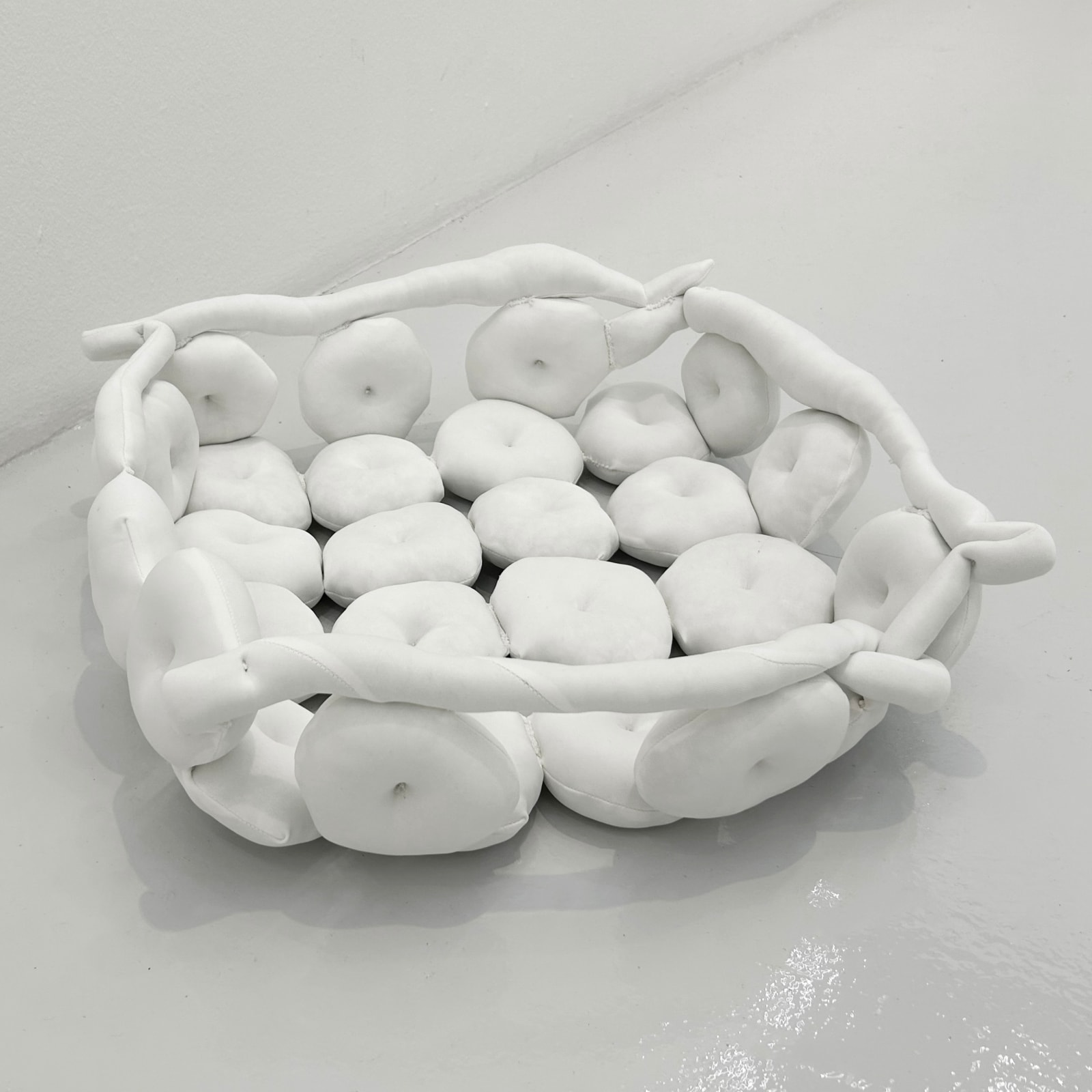 Lai Thi Dieu Ha, Budding, 2024