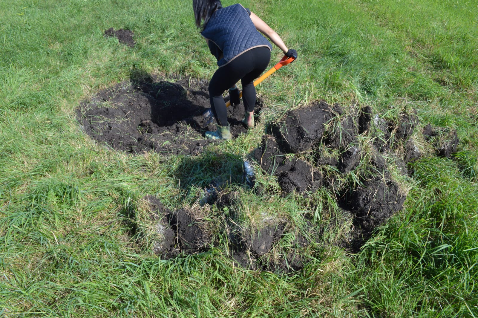 Moi Tran, Everyday Work Series - Hole Dig No. 1, 2017