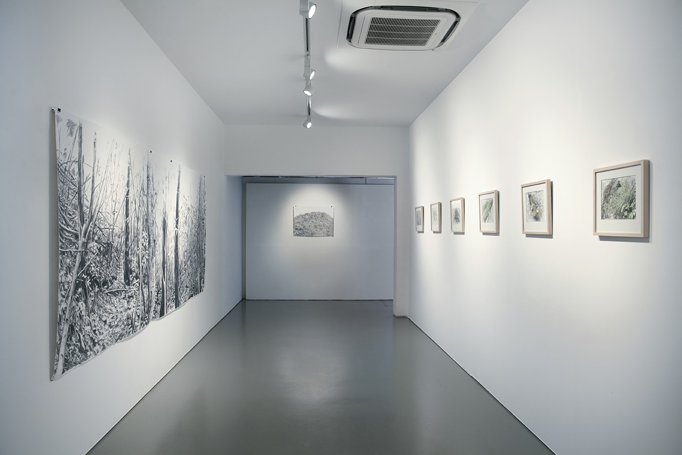 Maryanto, Observation No. 6, 2015