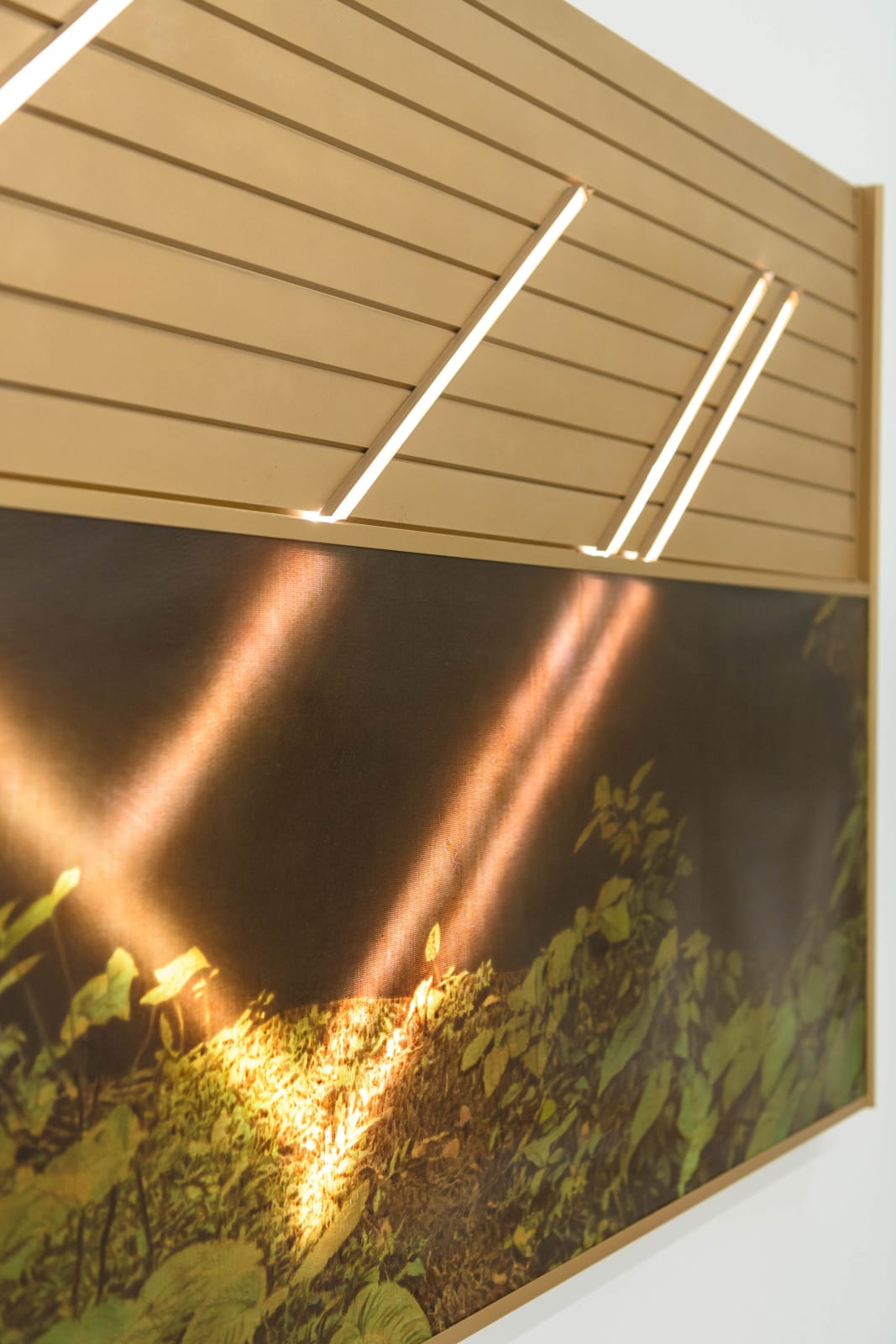 Filippo Sciascia, Phylogenetic of Resources, 2019