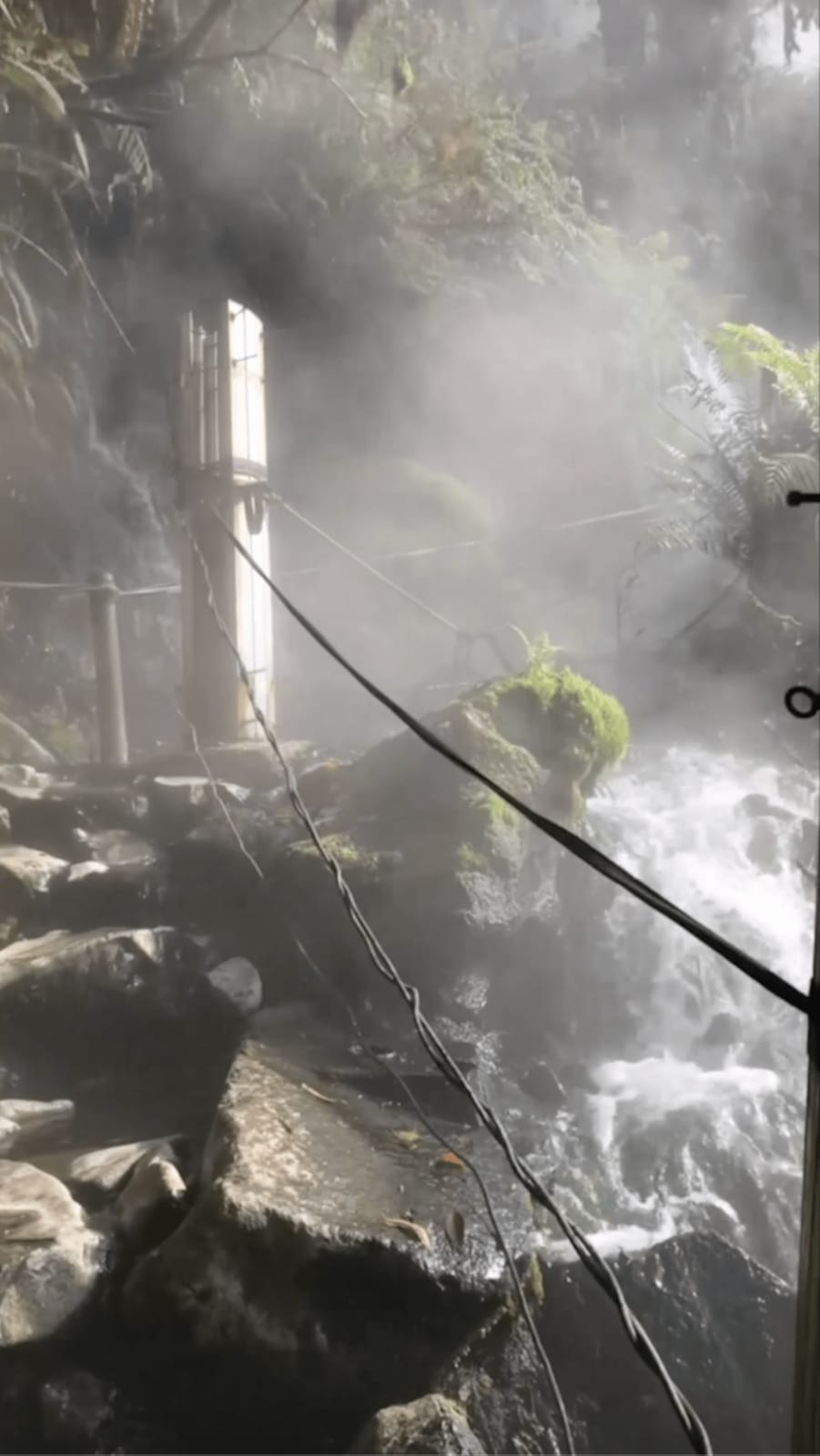 Maryanto, Pangrango 3019 mdpl_1 , 2023