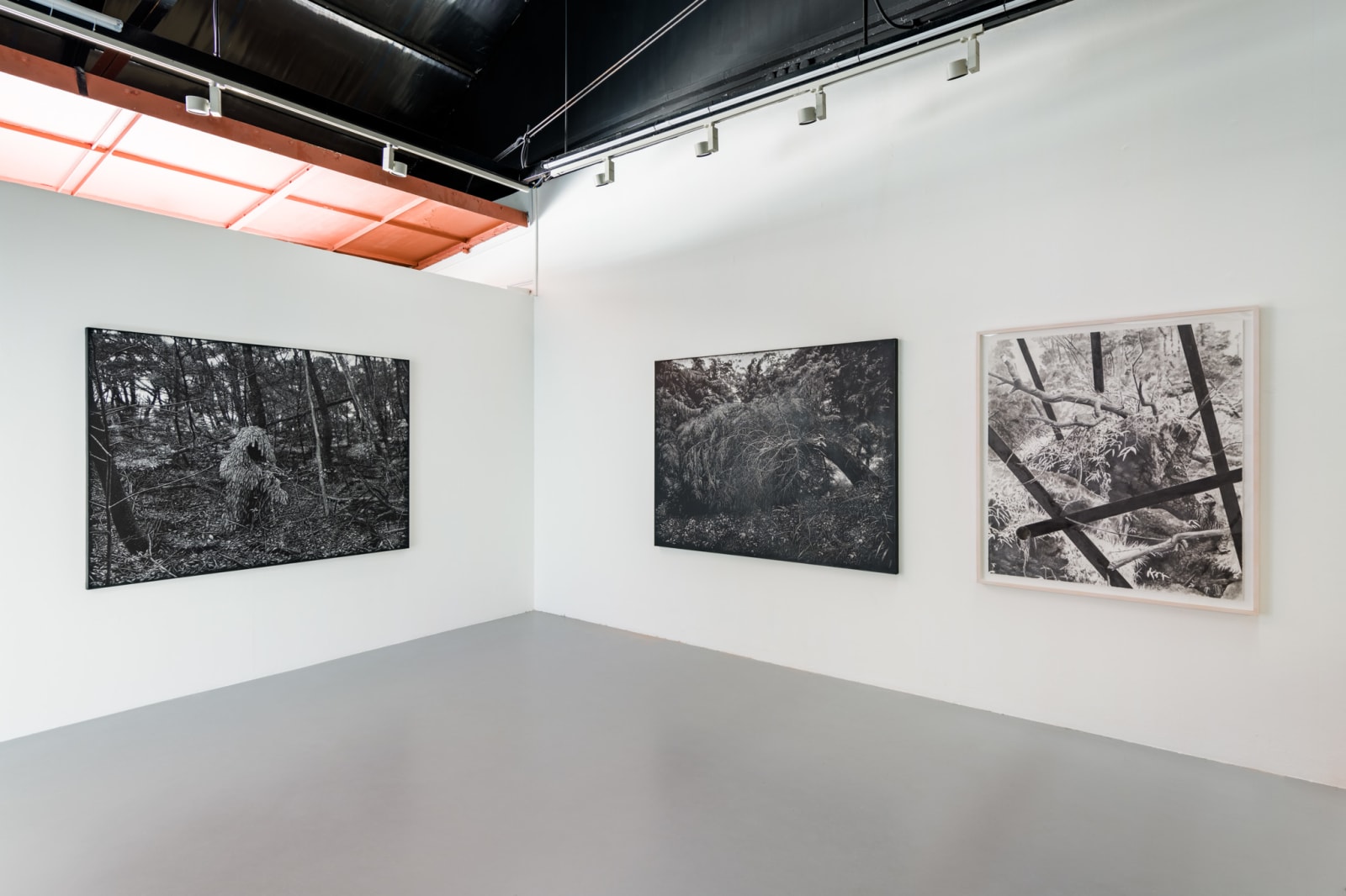 Maryanto, Telaga Warna, 2019