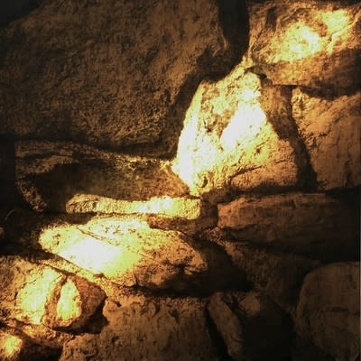 Filippo Sciascia, Elektron, 2021