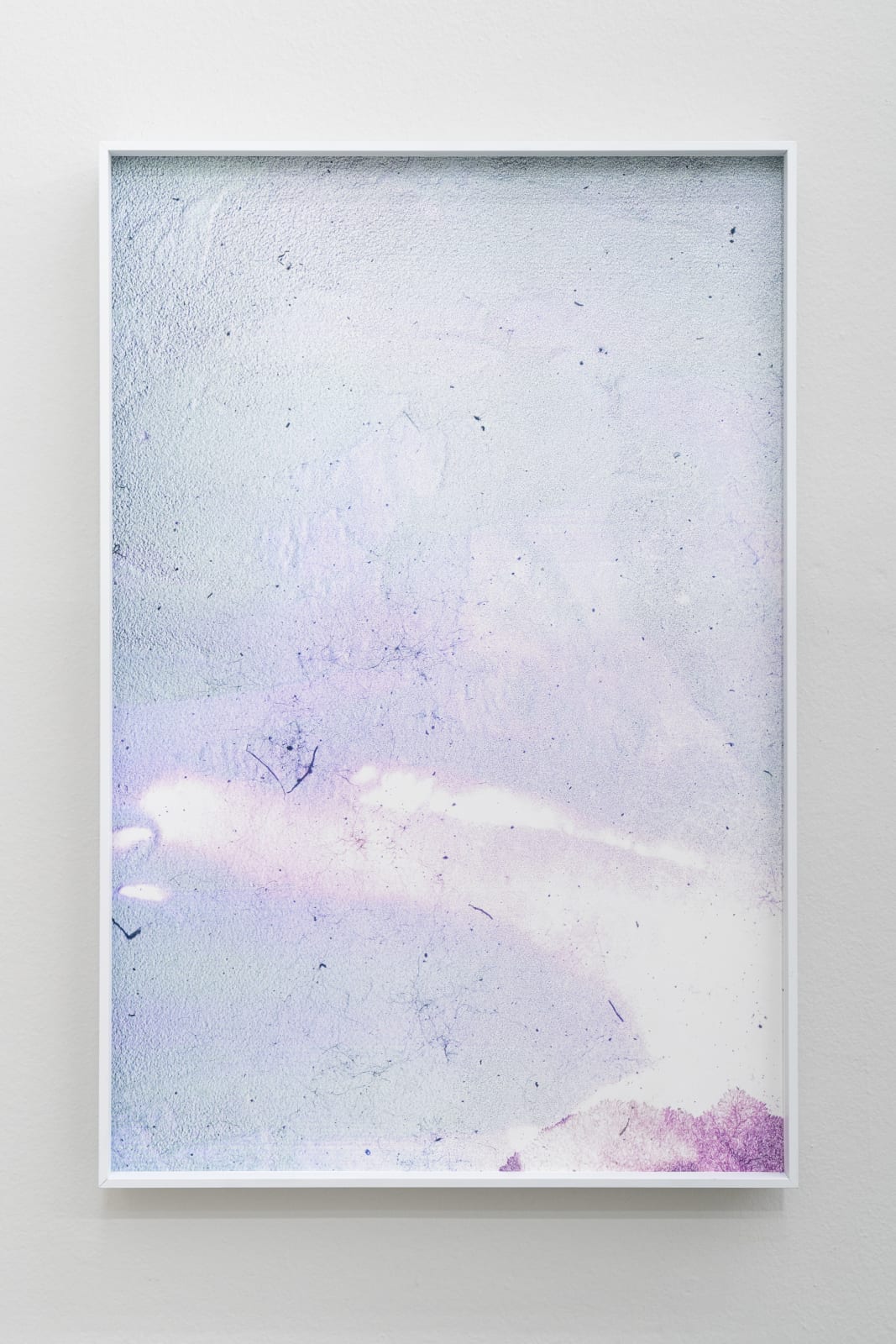 Wei Leng Tay, One full frame 135mm colour reversal film slide. “National Parks Board Of W.A.” and “18 The Shawl” printed on one side, and “KODACHROME DUPLICATE” and ‘“MADE BY Kodak” on the other, of a heat-sealed cardboard slide mount. In a yellow plastic slide box. // 150x magnification. Full coaxial episcopic, and transmitted illumination. Fragmented. // 10 variable sizes on archival pigment print. Photograph seven., 2022