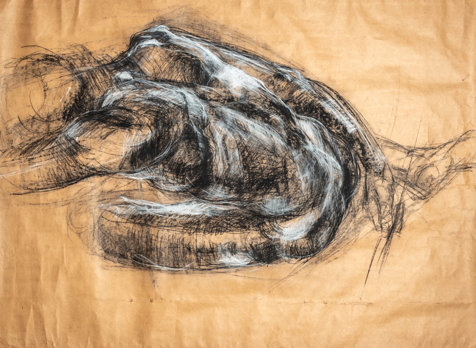 Solamalay Namasivayam, Untitled, Undated