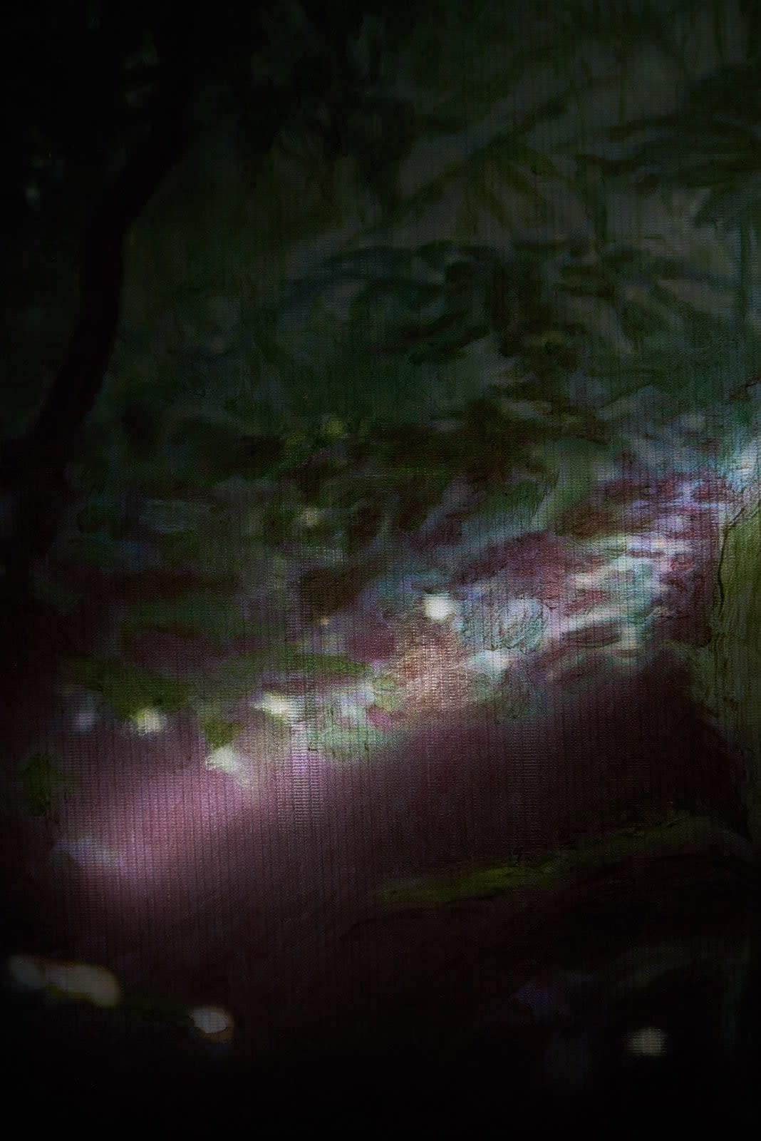 Filippo Sciascia, Phylogenetic, 2019