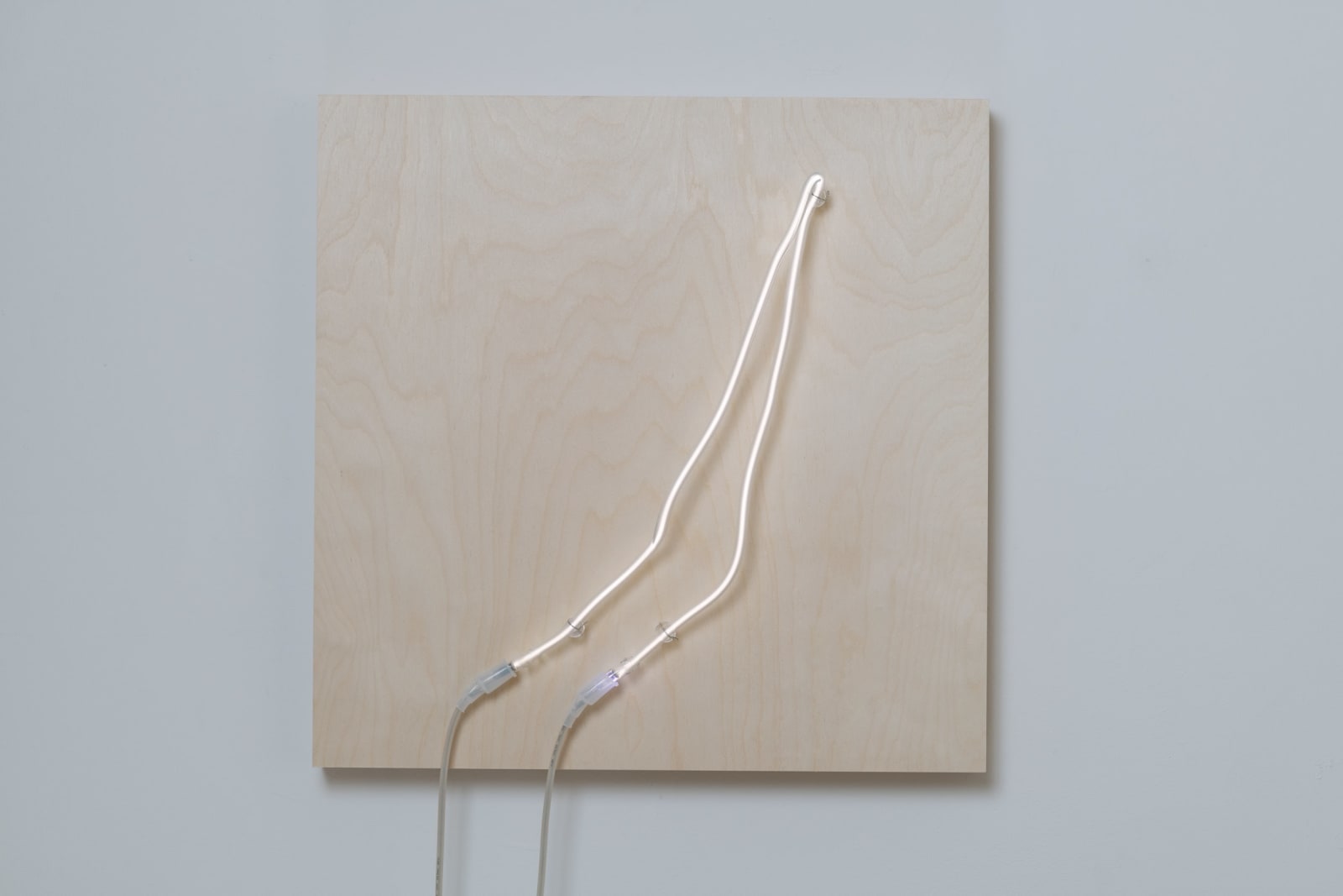 Annesta Le, Exposed Form No.2, 2019