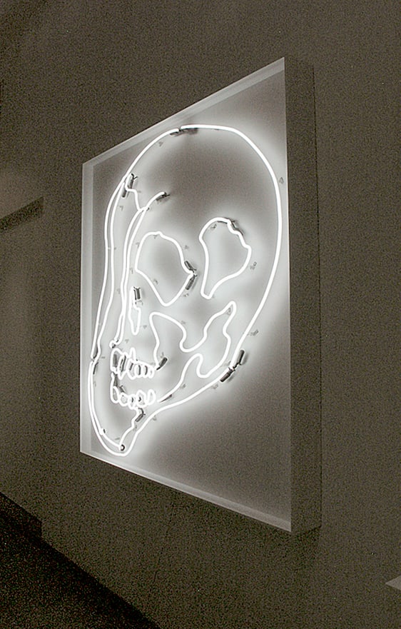 Anne Katrine Senstad, White Warhol Neon Skull LG, 2009
