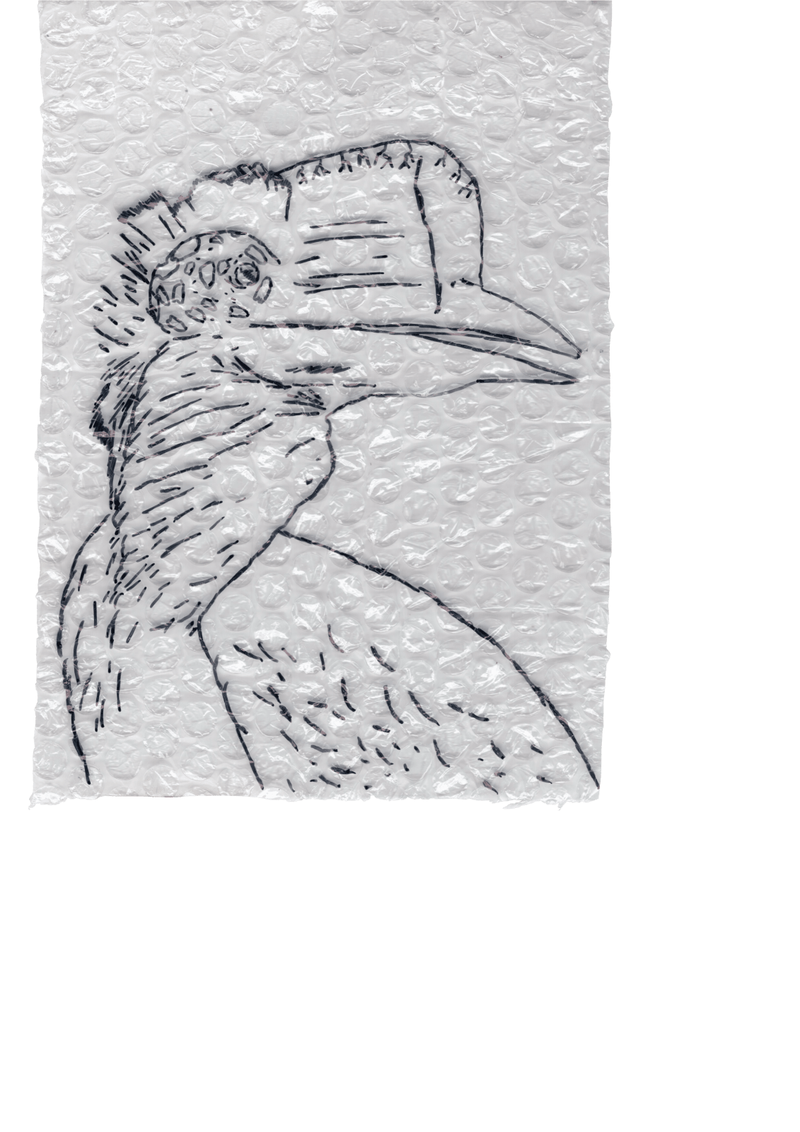 Rega Ayundya, Rhinoplax osseus 3.0 (09), 2026