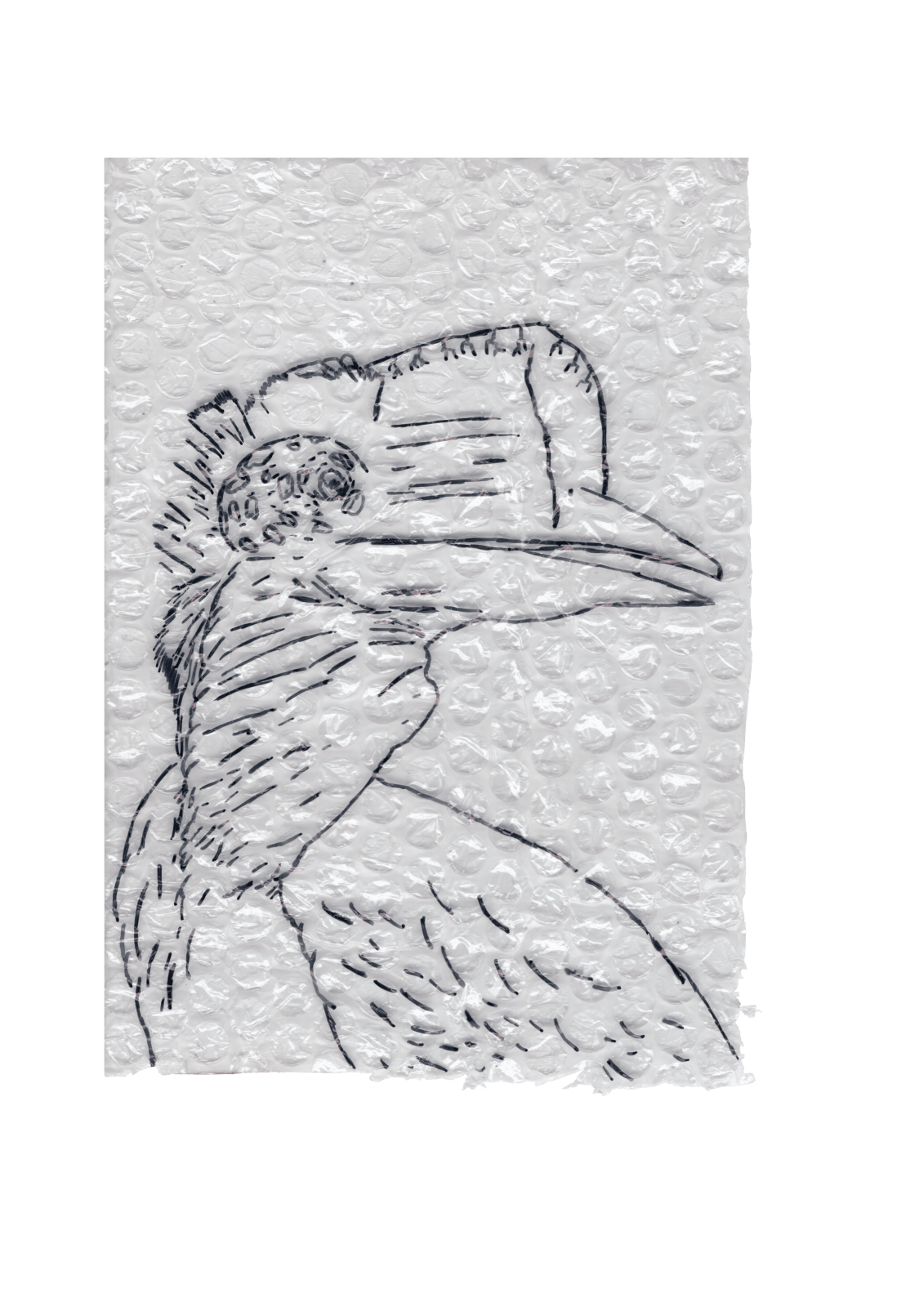 Rega Ayundya, Rhinoplax osseus 3.0 (08), 2026