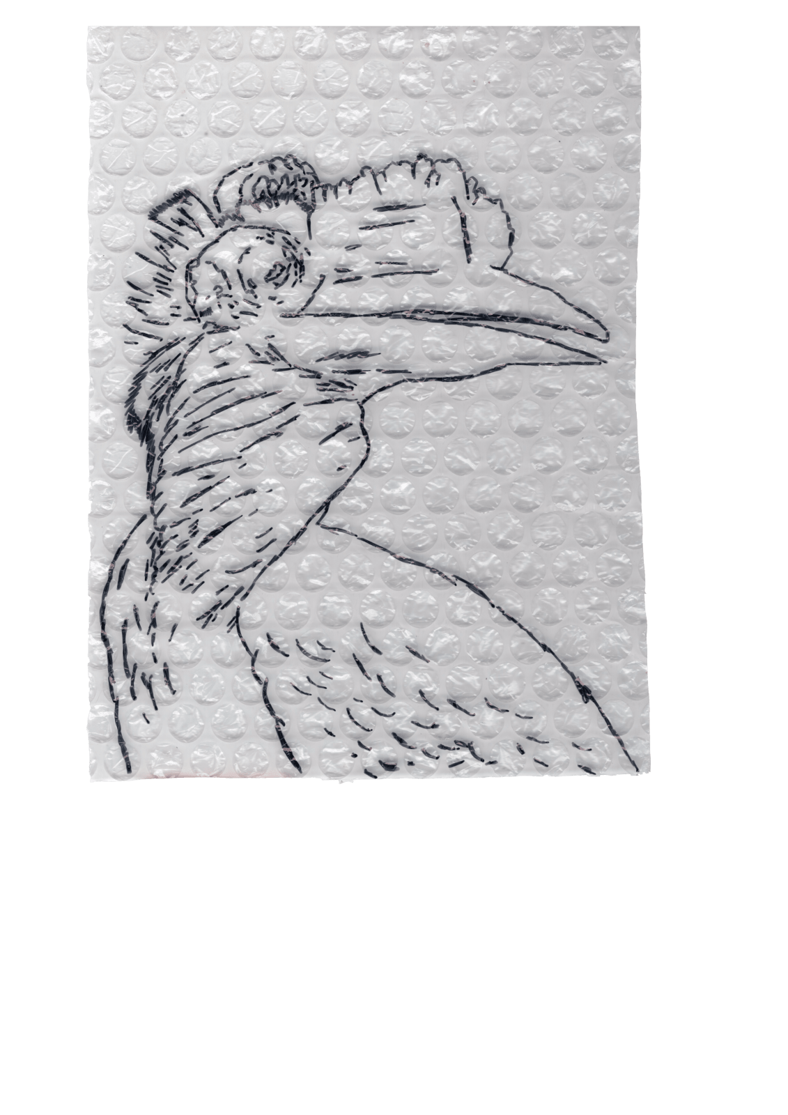 Rega Ayundya, Rhinoplax osseus 3.0 (17), 2026