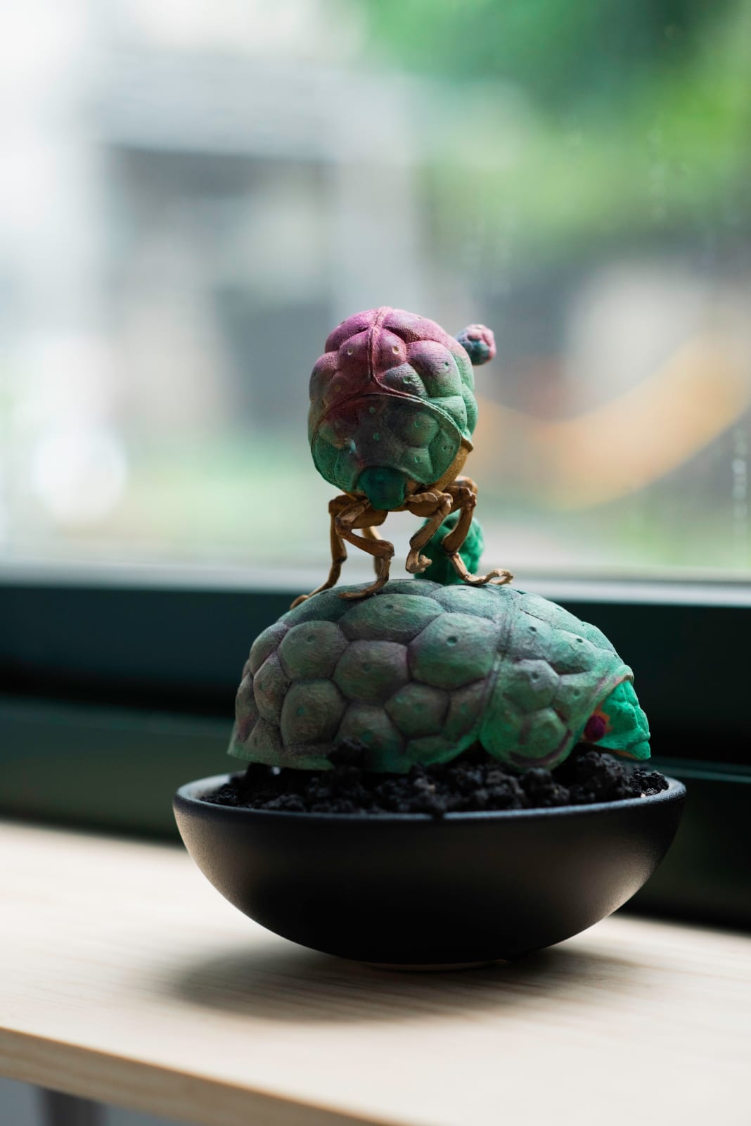 陳家邦 Chen Jia-Bang, 擬習智野瓢蟲 Narashino Cactus Mimic Ladybird Beetle (Coccinella narashinomimus), 2025