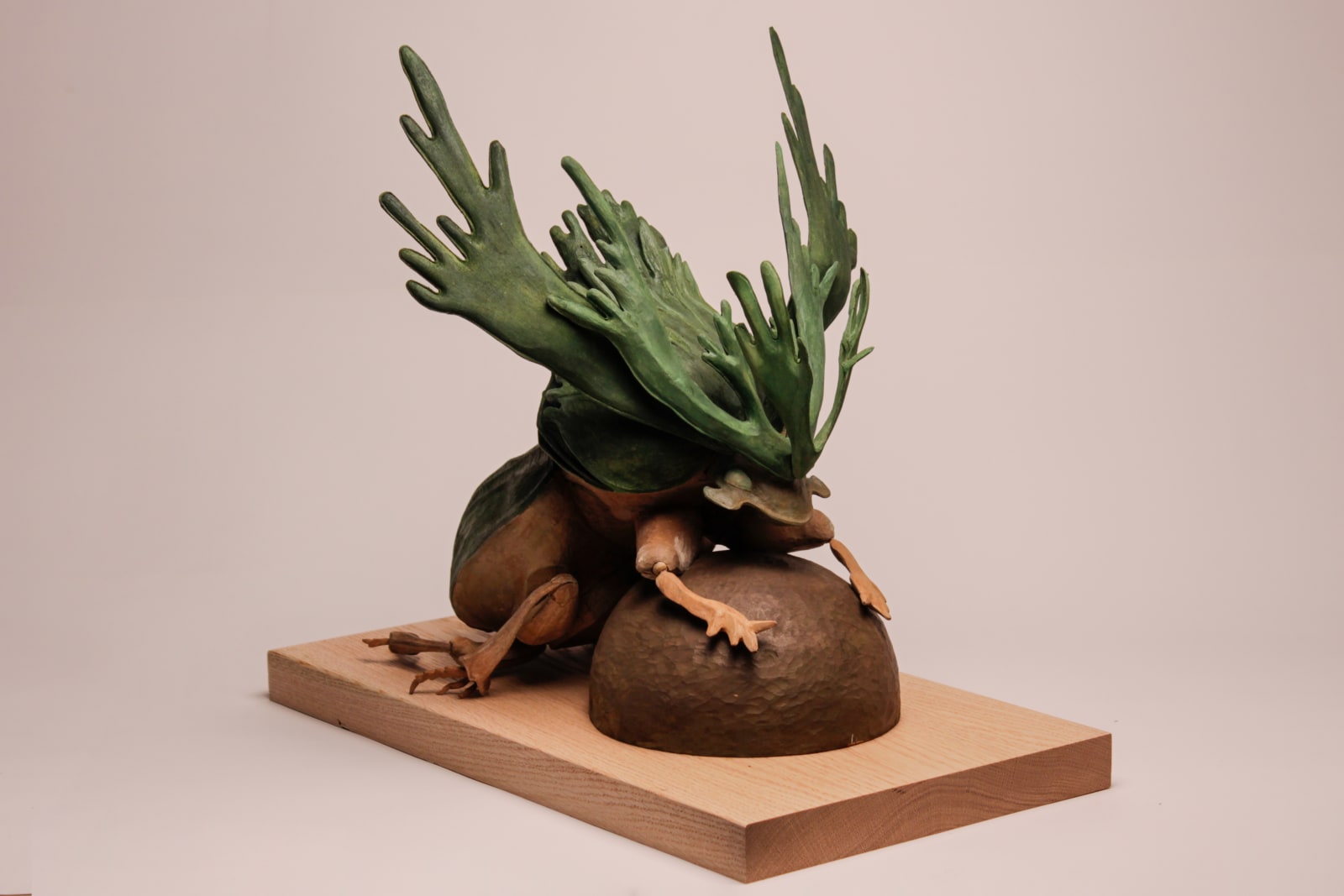 陳家邦 Chen Jia-Bang, 擬鹿角蕨蜣螂 Staghorn Fern Mimic Dung Beetle, 2024